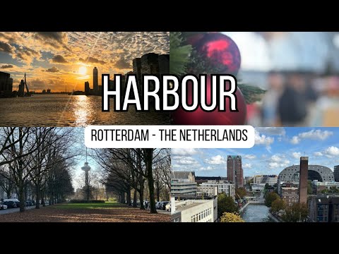 EPISODE 2: HARBOUR