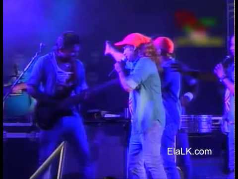 15 Mage Sweety Kella by All Right in Kelaniya - Hibutuwelgoda