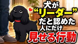 犬が“リーダー”だと認めた人にだけ見せる行動