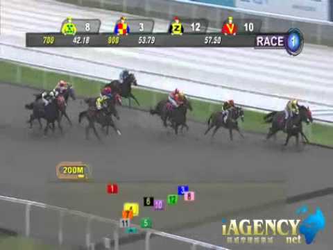 SINGAPORE RACE 15/12/2013 RACE 1 - iAgencyNet.com