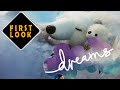 Dreams - First look - Paris Games Week