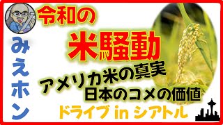 【米騒動】 日本のコメ🌾の競争力とアメリカ🌾コメ（米）の真実