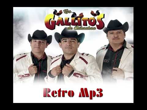 Los Gallitos De Chihuahua - Los Arroyuelos (En Vivo)