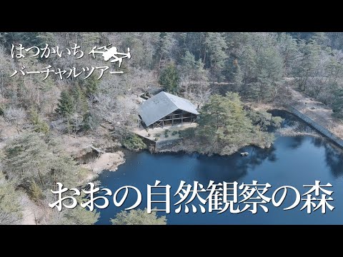 おおの自然観察の森 バーチャルツアー動画