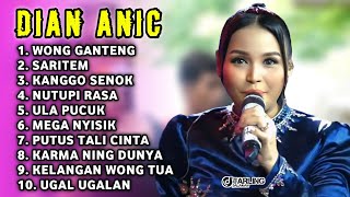Download lagu FULL ALBUM TERBARU 2026 DIAN ANIC WONG GANTENG - SARITEM - KANGGO SENOK mp3