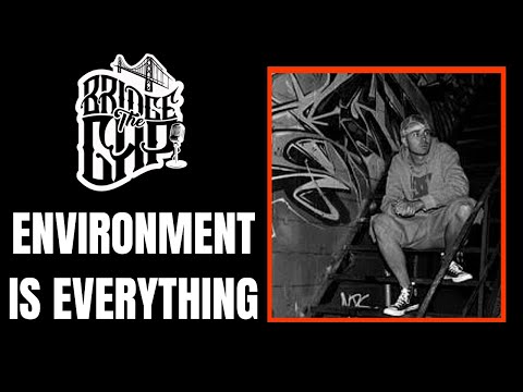 MLNY EXPLAINS WHY THE ENVIRONMENT AROUND YOU IS SO IMPORTANT