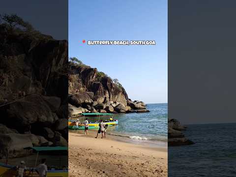 Butterfly Beach - South Goa 🌴⛱️🌊 One of the cleanest beaches in India #goa #hopandtaste #southgoa