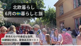 【北欧暮らし】スウェーデンの6月。ナショナルデイ、夏休みスタート!June in Sweden,birds watching,National Day,trip to Jönköping