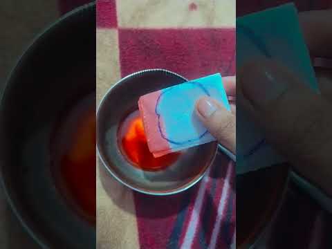 #diy #sheeba #flowers 🌹