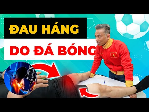 Đau Háng Do Đá Bóng: Cách Xử Lý Đau Đớn Nhanh Chóng Và Hiệu Quả