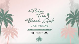 2025 Artist Residencies at Palm Tree Beach Club
