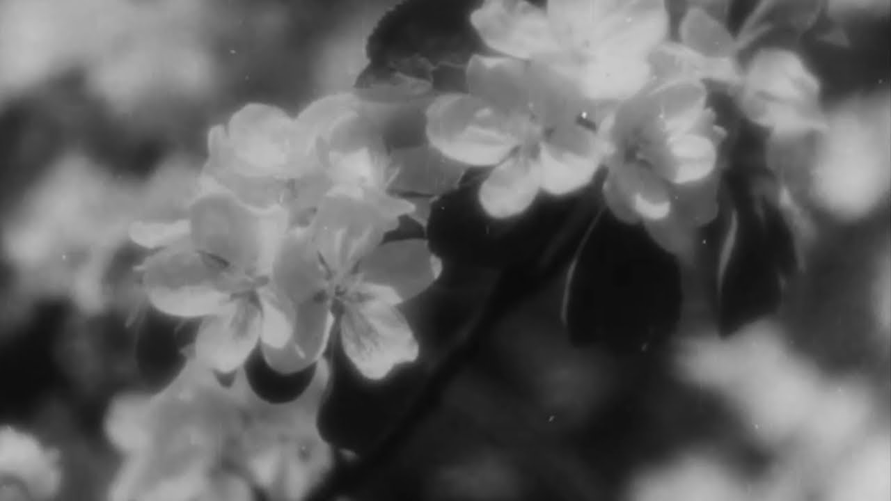 Jarní píseň / Jaro je tady (I.)