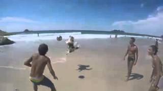 Dog plays football/soccer