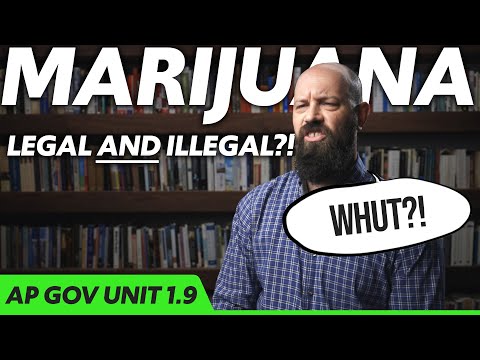 FEDERALISM in ACTION [AP Gov Review Unit 1 Topic 9 (1.9)]