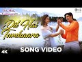 Dil Hai Tumhaara Song Video Dil Hai Tumhaara Preity Arjun Jimmy Alka Y Kumar S Udit N