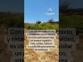Tour Virtual