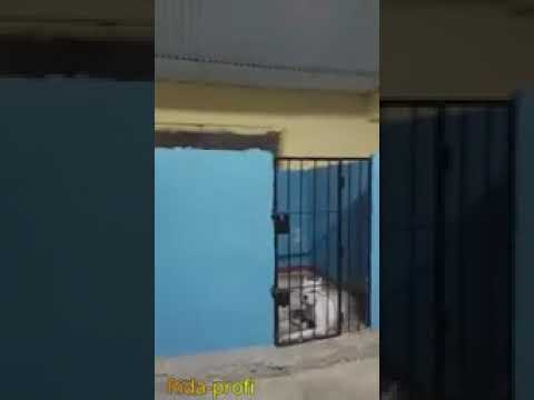 😘🤩😜🤩🤩🤩🤩