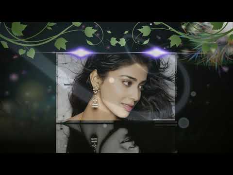 VẪN MỘT ĐỜI HIU QUẠNH