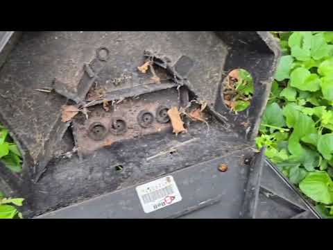 Spiders & Spiderlings Reside in Rodent Bait Station in Deal, NJ