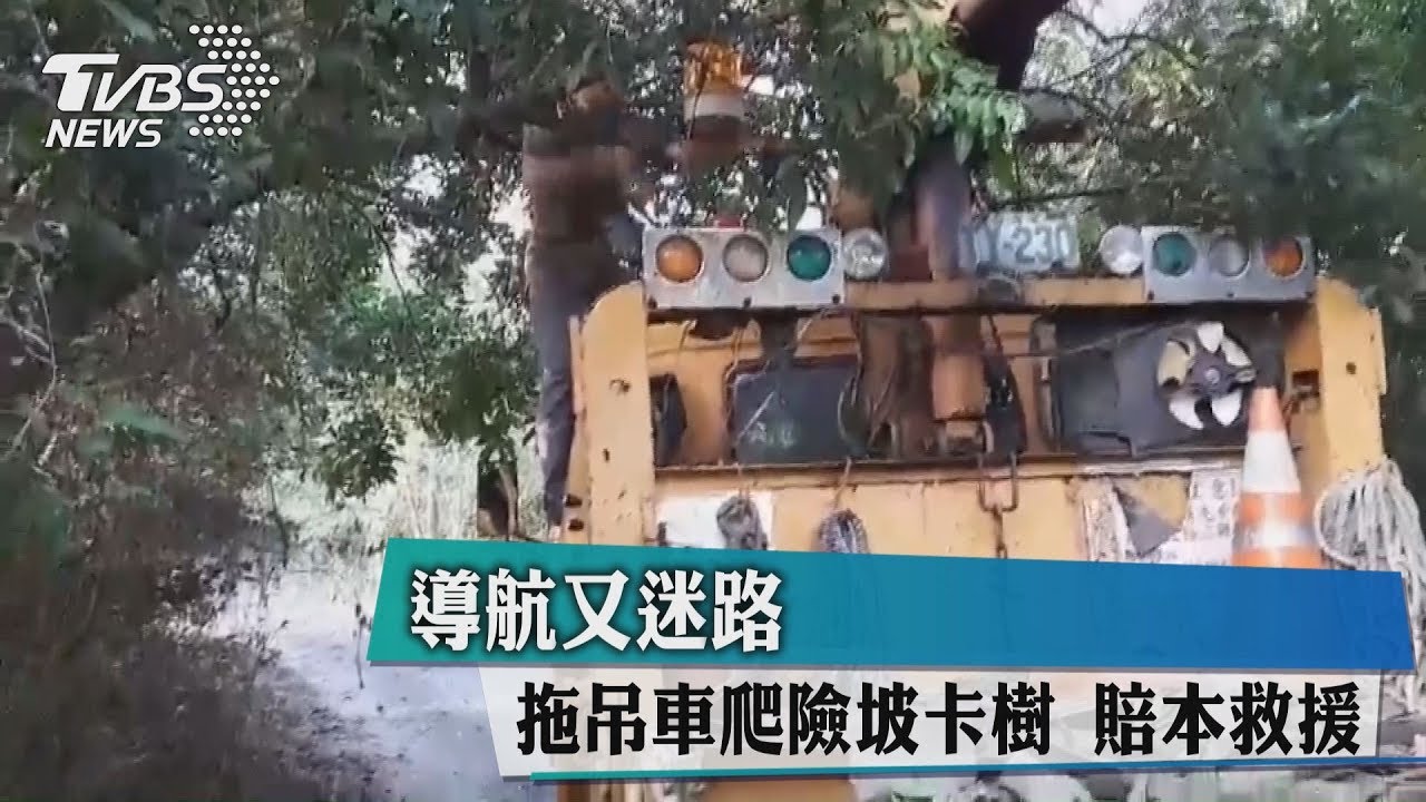 導航又迷路！拖吊車爬險坡卡樹　賠本救援