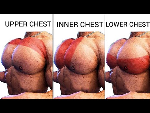 Top 4 Upper Inner and Lower Chest Workout Gym Exercises - Chest
