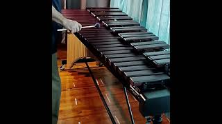 Video thumbnail for Yamaha 4.3 YM1430 marimba by MalletShop