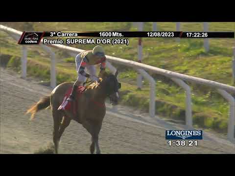 230812 c03 ROCK WALK