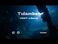 Tribute To The Rebirth Of The USAT Liberty Wreck