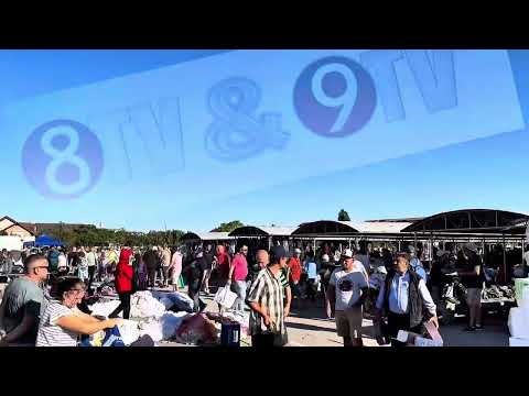 Piața Flavia - TIMISOARA 