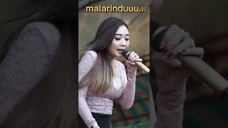 Download lagu Divarina Indra  Sakit Rindu #shorts #videoshorts #dangdutkoplo mp3