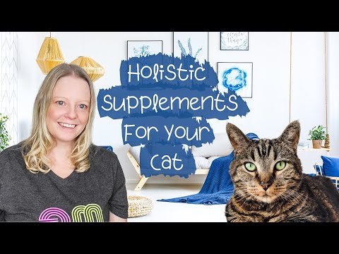 Catalyst Cat Supplement Review - Grade A Supplement For Your Cat