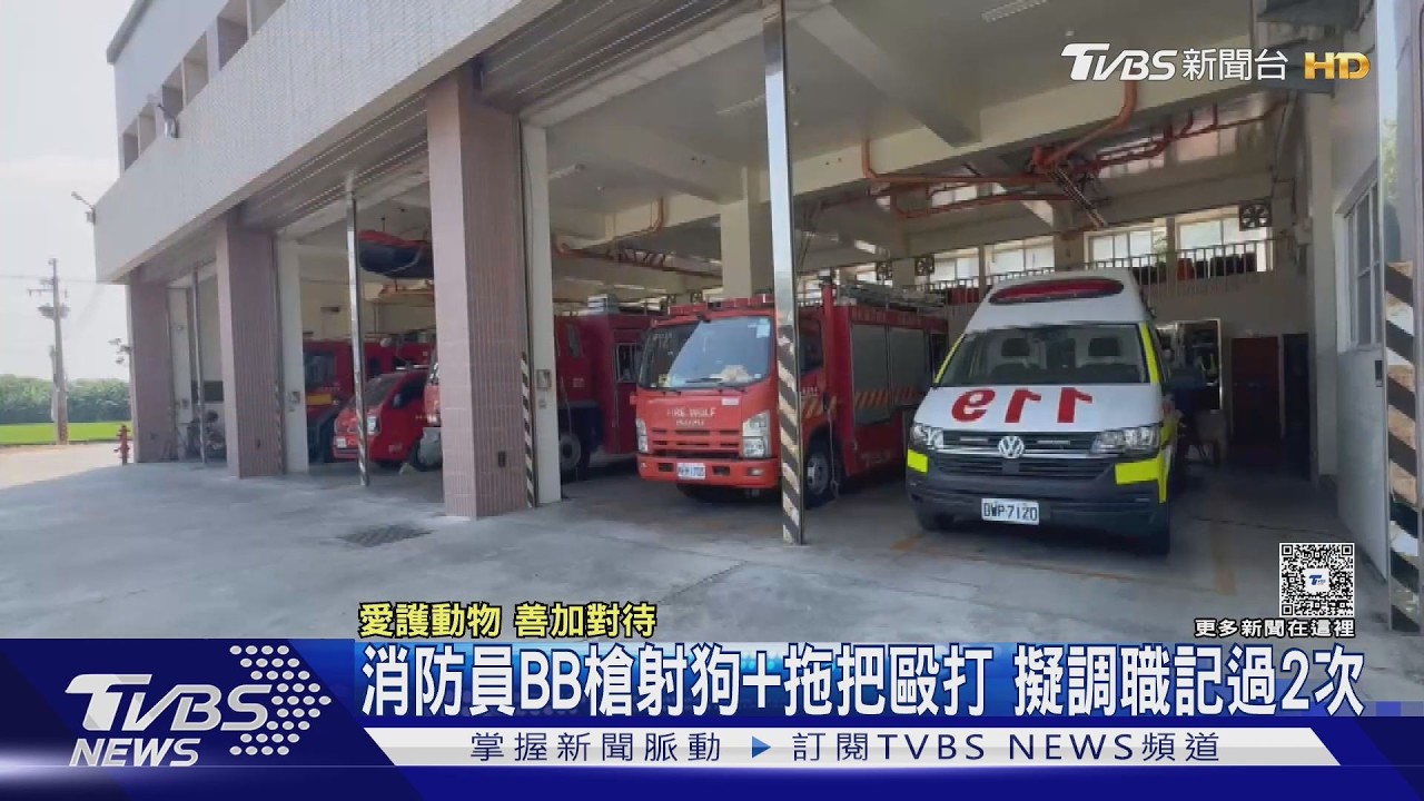消防員BB槍射小黑狗再持拖把毆打！浪浪嚇到失禁哀嚎　他下場曝光