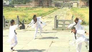 preview picture of video 'Wudang Wushu Kids'