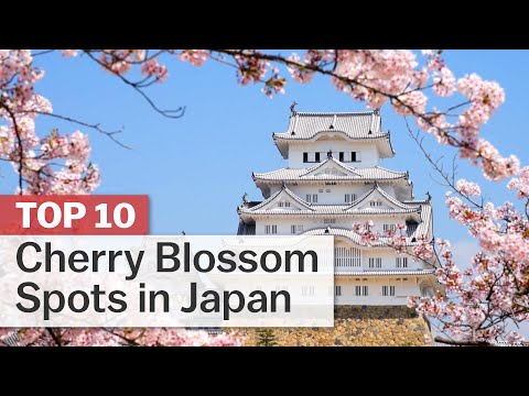 10 Best Places to See Japan's Famous Cherry Blossoms