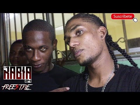 ( LA GALLINA DE DOS PLANTA ) La Rabia 24 vs Un Nuevo & Dinamita vs Un Nuevo - en el Olimpico