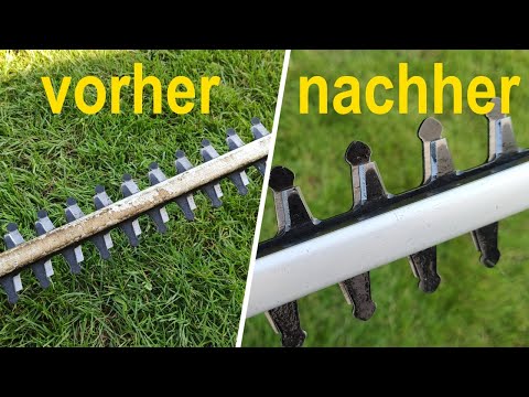 Anleitung: Heckenschere selbst schärfen (so einfach geht's)