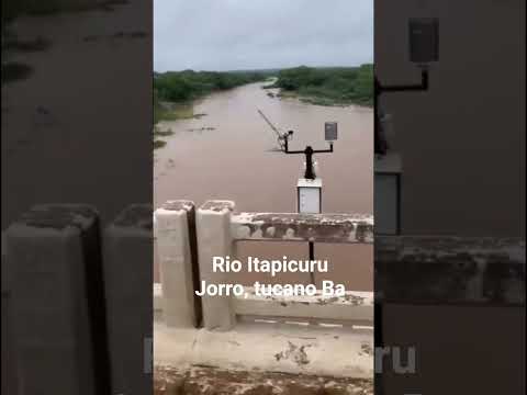 enchente do Rio Itapicuru #tucano #cipo #crisopolis #acajutiba #conde #rioreal #bahia