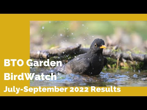 BTO Garden BirdWatch Results Quarter 3 2022