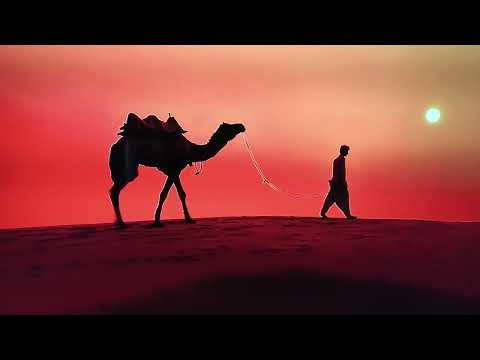 India in 8k Ultra HD HDR - will be king of Asia (  60 FPS  )