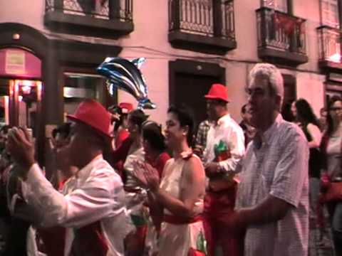 FESTAS DAS SANJOANINAS 2014 - FINAL DAS MARCHAS