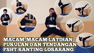 Download lagu Macam - macam Latihan Pukulan Dan Tendangan PSHT Ranting Losarang mp3