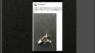 奇跡の瞬間ｗｗ