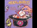 Meat Puppets - Blue Green God