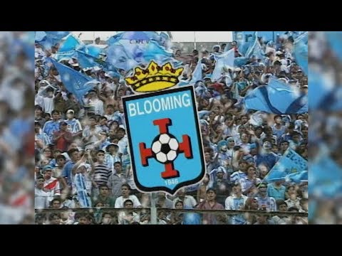 "ALDO PEÑA - BLOOMING, BARRA BRAVA" Barra: Los Chiflados &bull; Club: Blooming