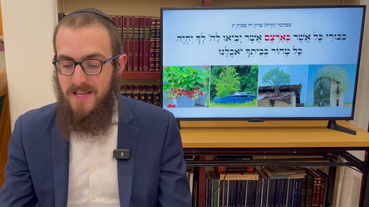 Rambam Hilchos Bikkurim Chapter 2 • Rabbi Yossi Lipskier