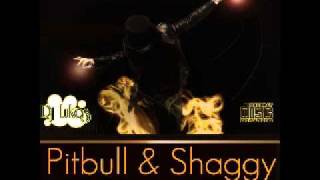 Pitbull ft. Shaggy - Fired up (Dj Lukas Remix&#39;es 2011)