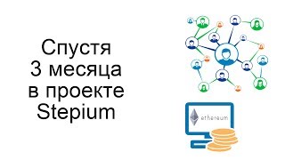 Результаты через 3 месяца в проекте Stepium. Пирамида или нет?