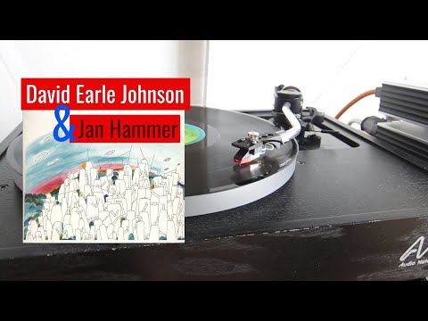 David Earle Johnson & Jan Hammer ✧ Bamboo Forest ✧ Vinyl 💿