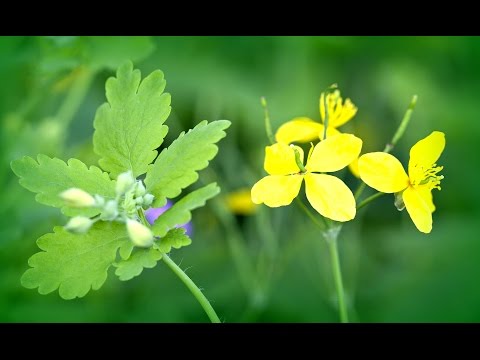 Удаление пигментных пятен на лице в салонах Как избавится от тёмных пятен на коже