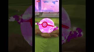 Shiny dynamax wooloo caught in Pokémon go